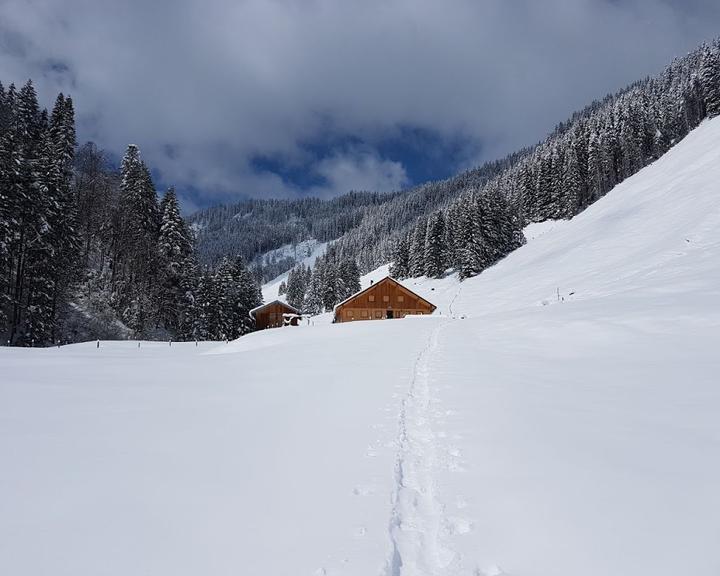 Alpe Zunkleiten